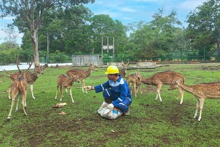 ISS Pet Sitter PT Timah-1